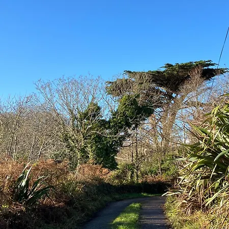 Holiday home Ancaire Kilbronogue. *