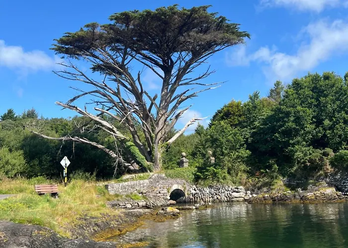 Ancaire Kilbronogue. *